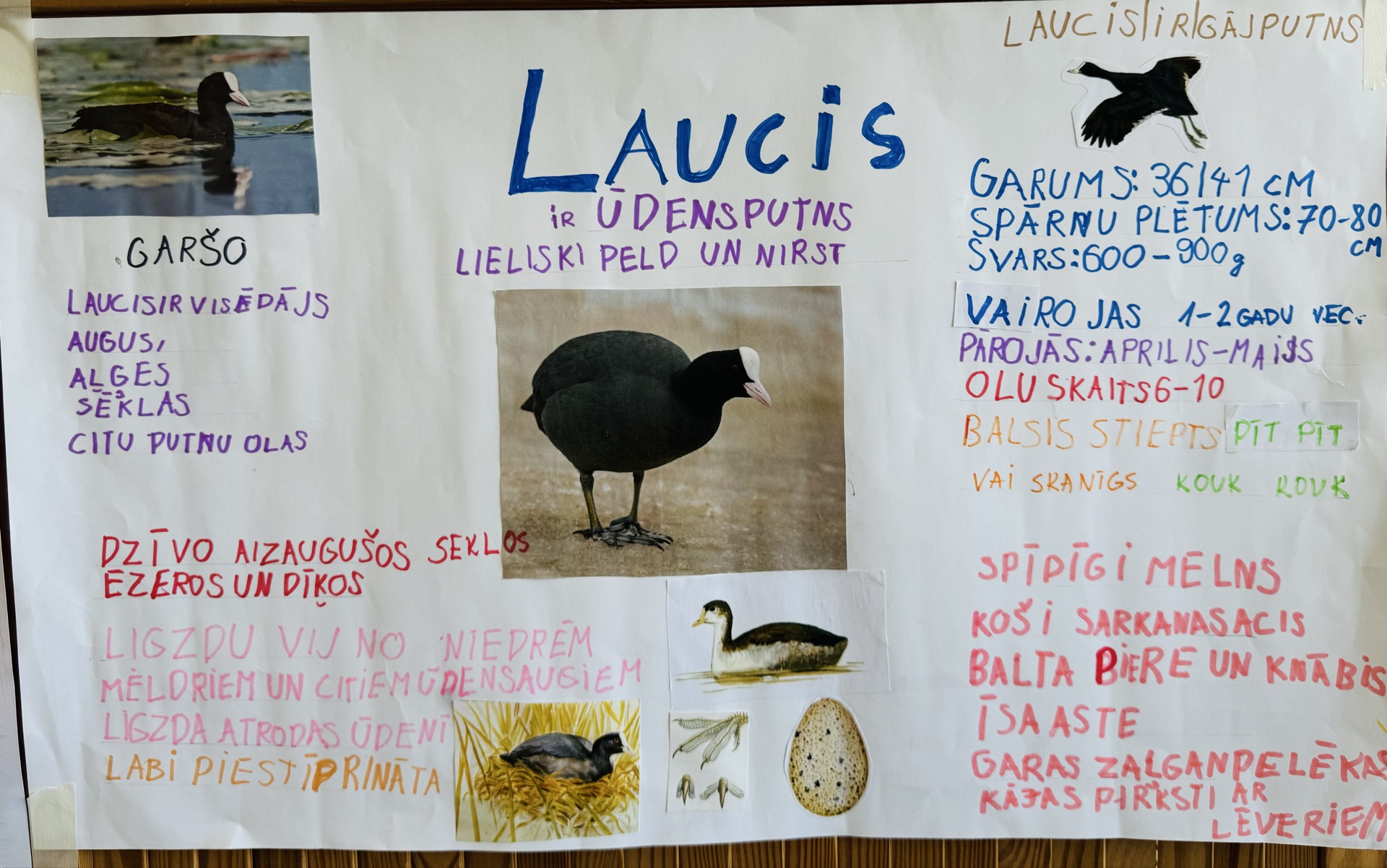 Galerijas bilde