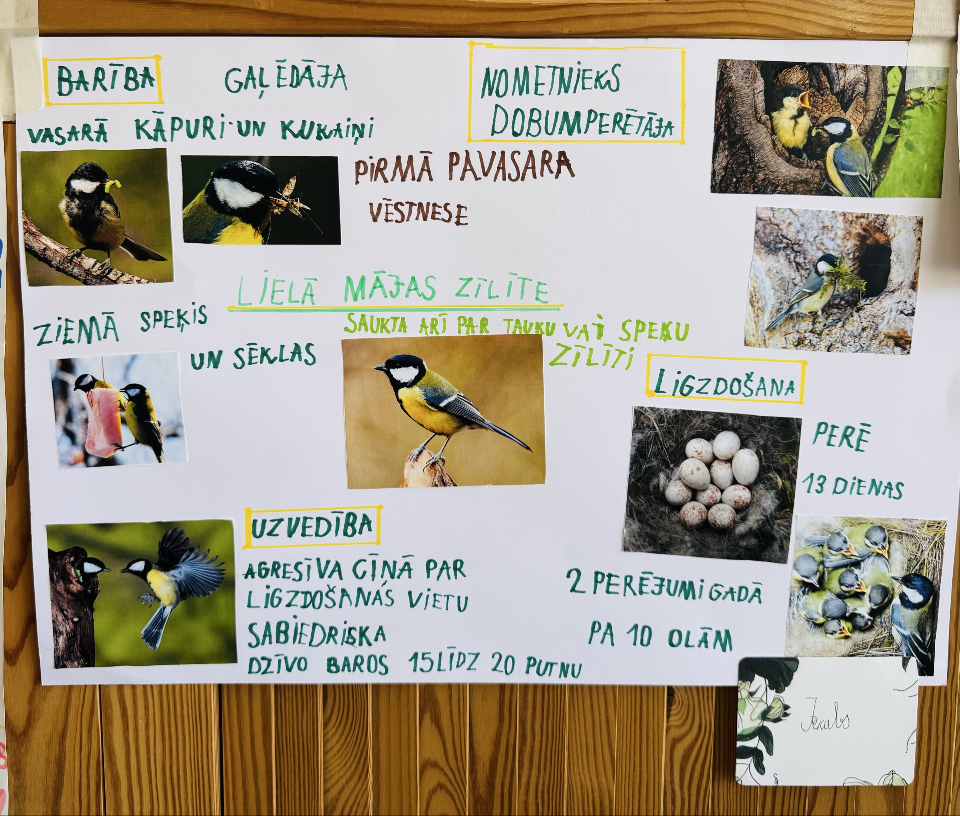 Galerijas bilde