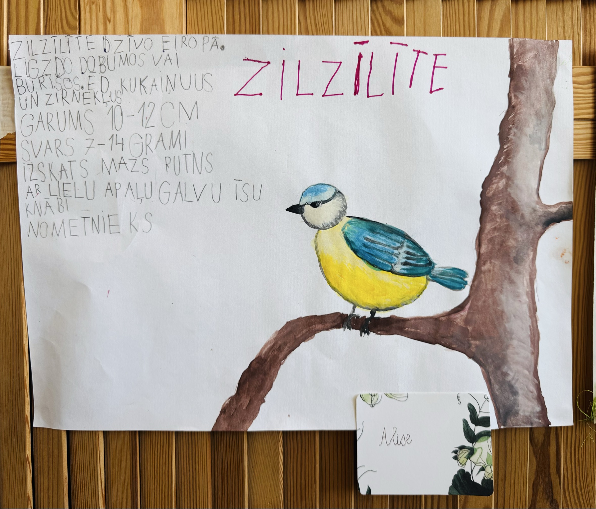 Galerijas bilde