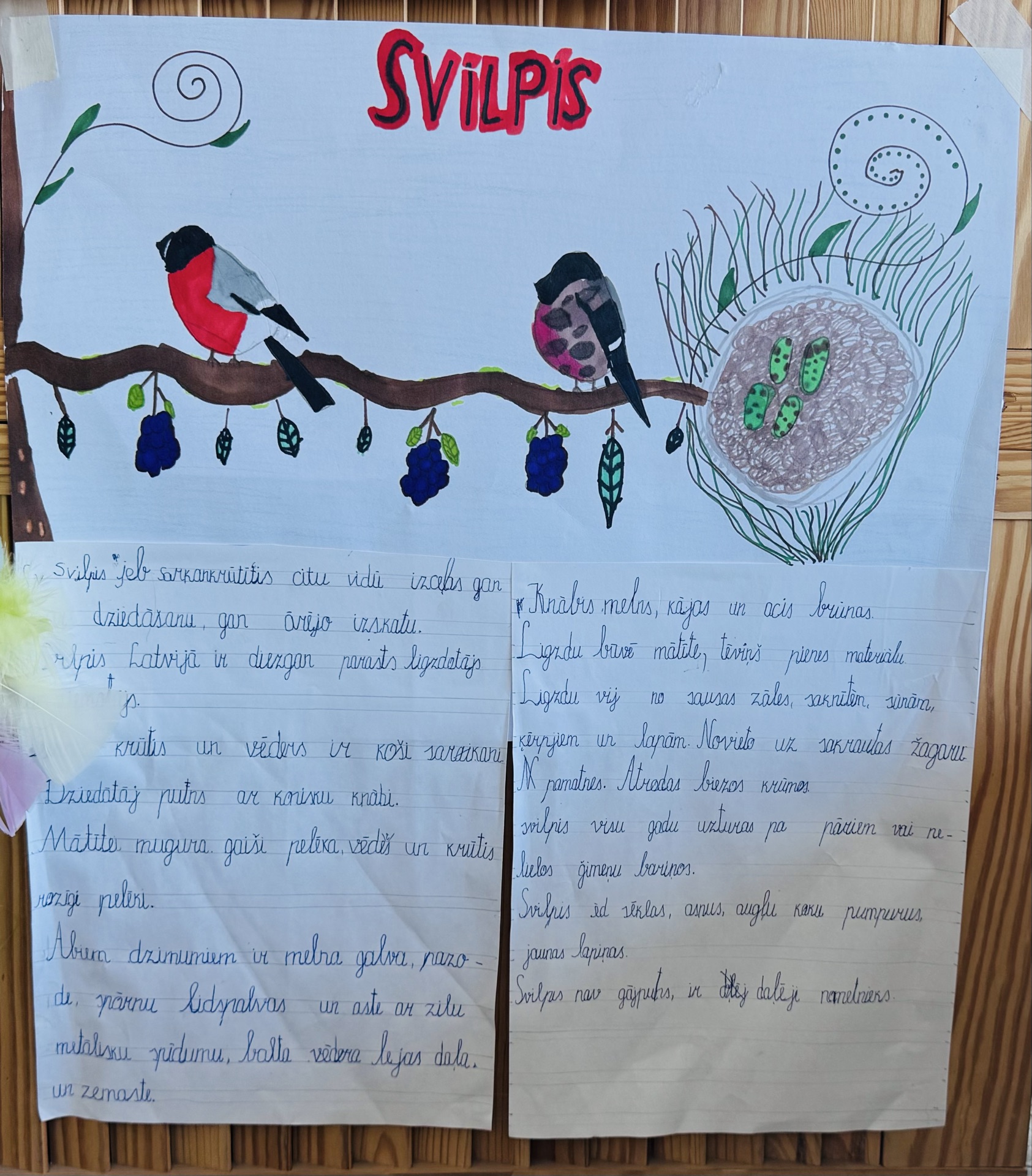 Galerijas bilde